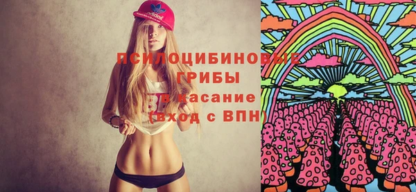 сатива Абинск
