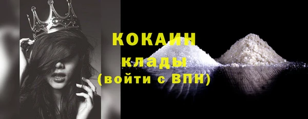 прущие грибы Мегион