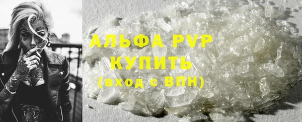 сатива Абинск